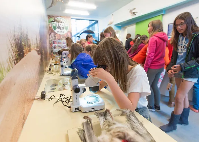 De Ploate 호스텔 *